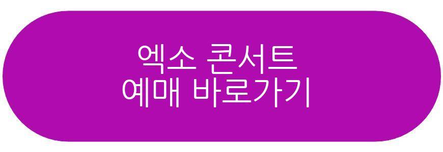 엑소 콘서트