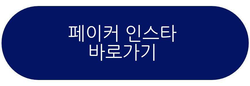 페이커 우표