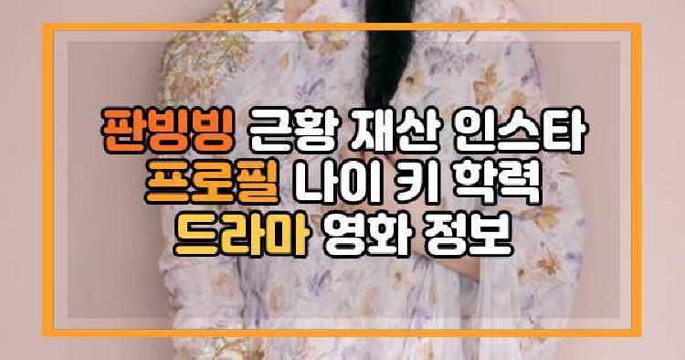 판빙빙 프로필