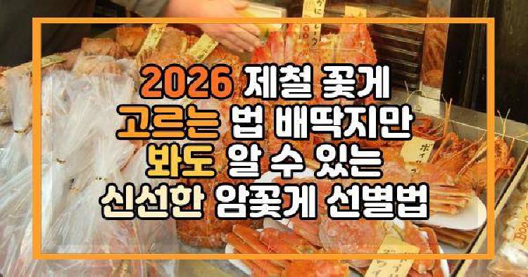암꽃게 제철