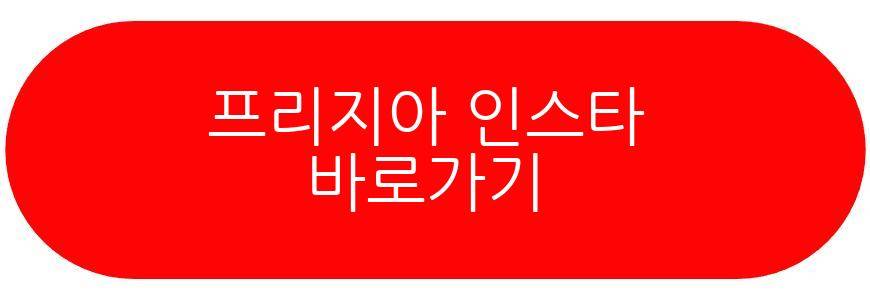 프리지아 유튜버