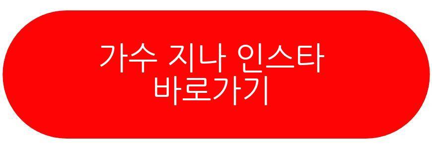 가수 지나