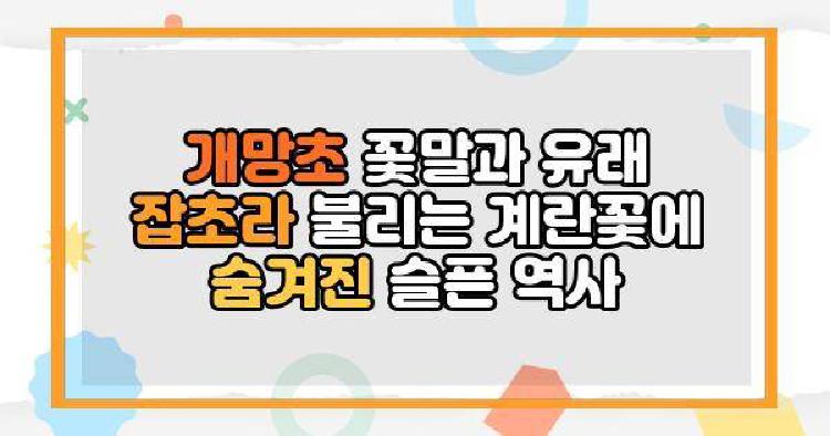 개망초 꽃말과 유래