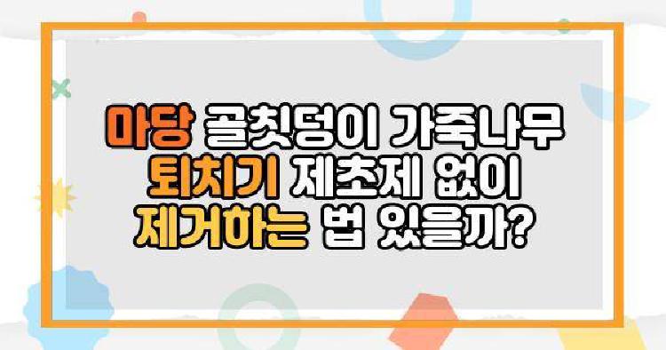 가죽나무 마당