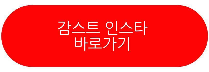 감스트 기래민