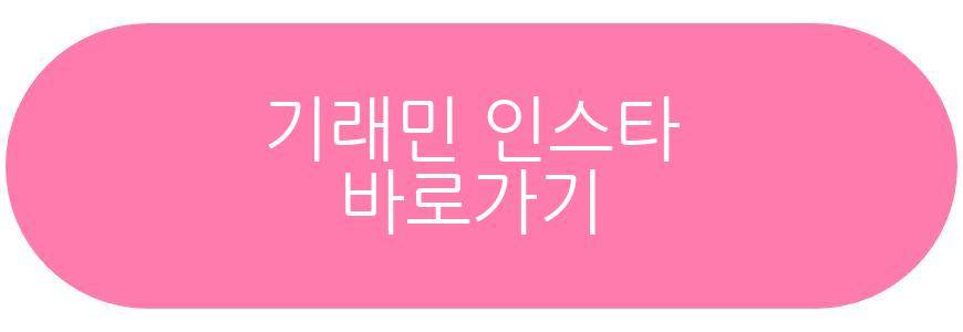 감스트 기래민