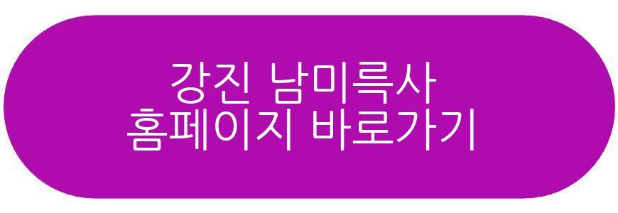 강진 남미륵사