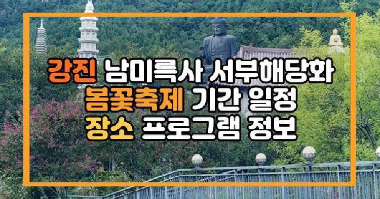 강진 남미륵사
