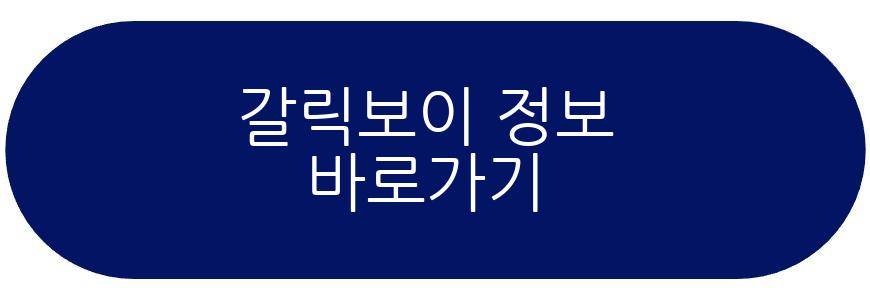 갈릭보이