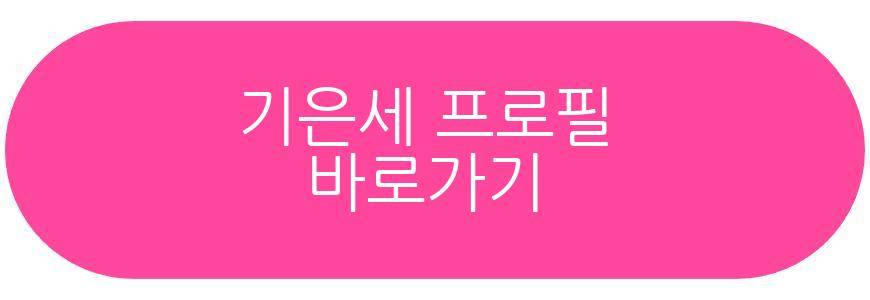 기은세 평창동 자택 공개
