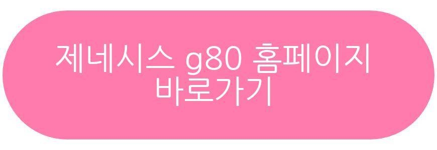 제네시스 g80