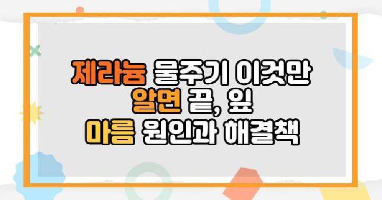 제라늄 물주기 이것만 알면 끝, 잎 마름 원인과 해결책