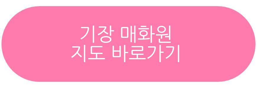 기장 매화원