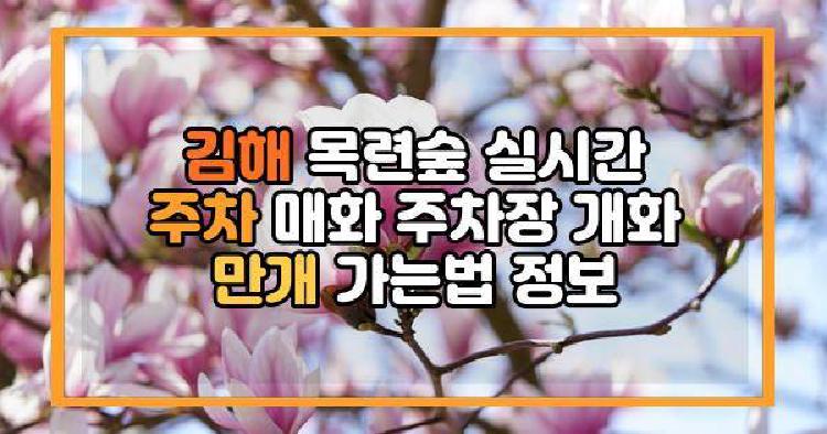 김해 목련숲