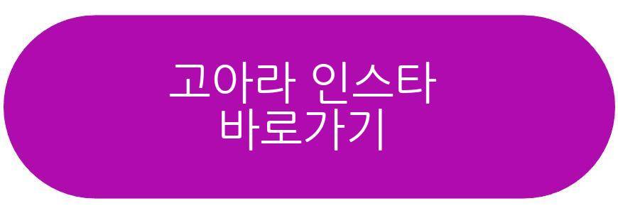 고아라