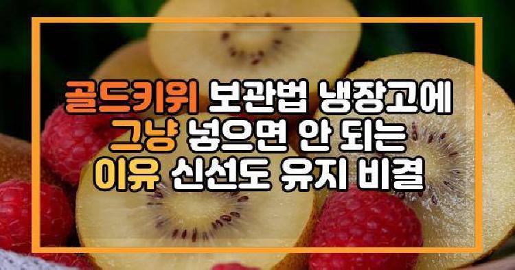 골드키위 보관법