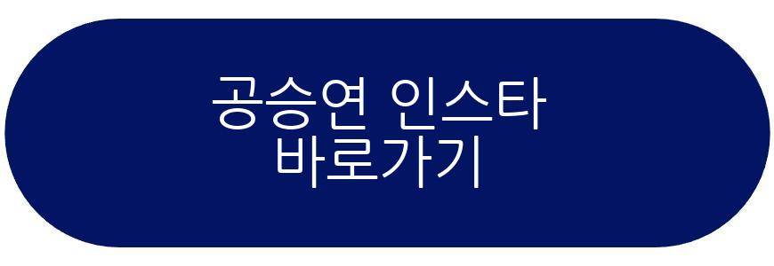 공승연