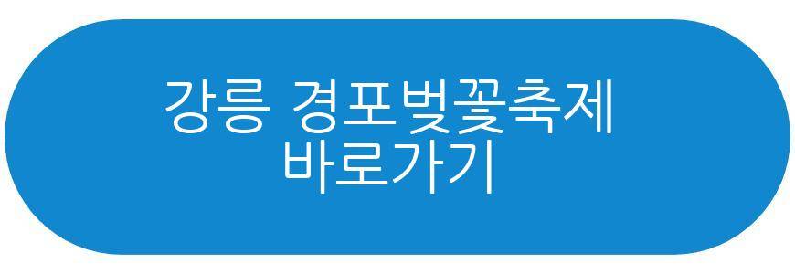 강릉 경포벚꽃축제
