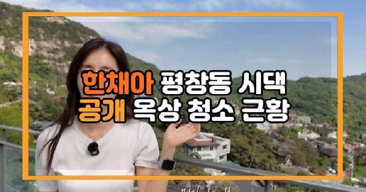 한채아 시댁 공개