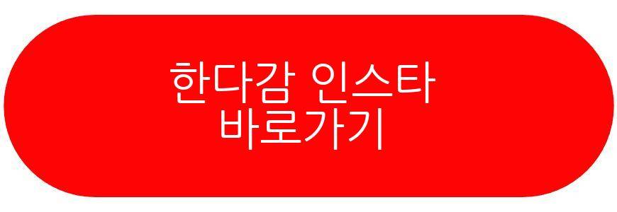 한다감 임신