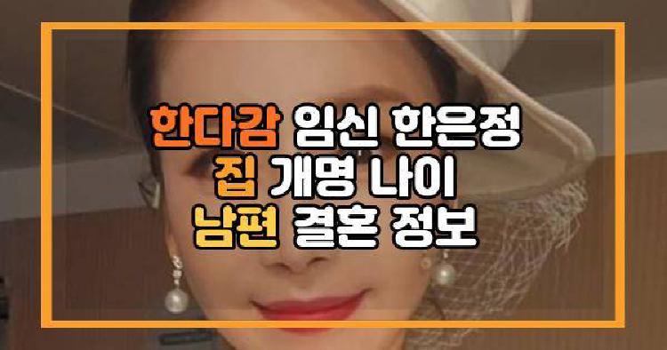한다감 임신