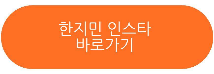 한지민 호주