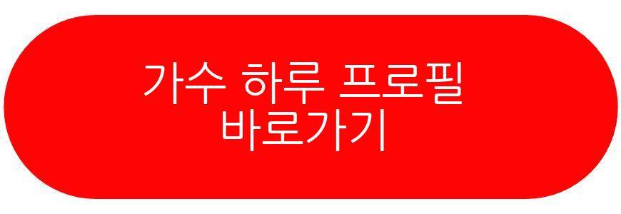 가수 하루 데이앤나잇