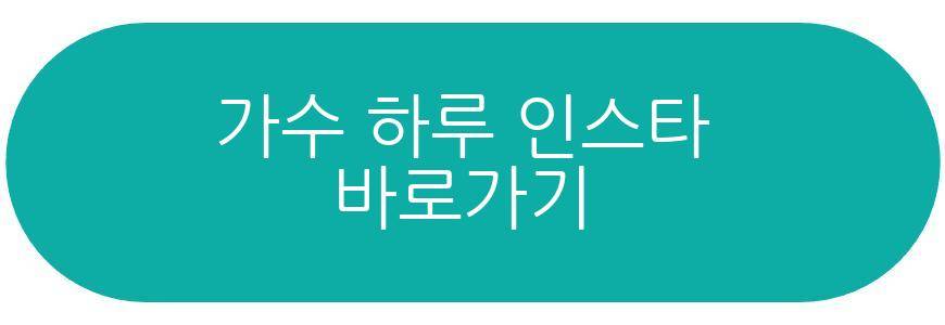 가수 하루