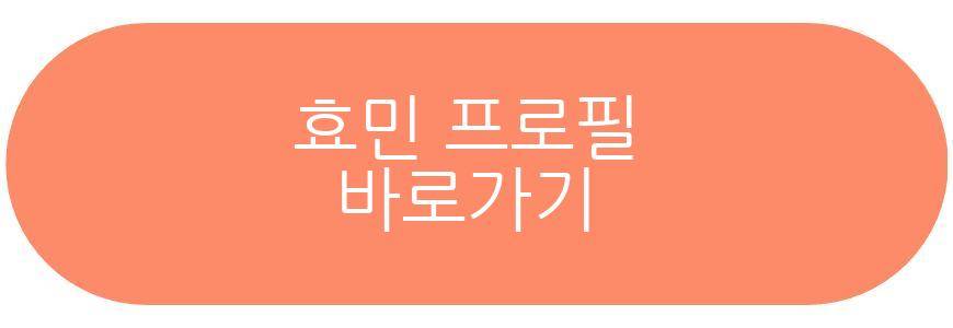 효민