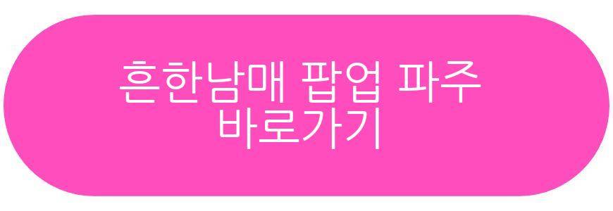 흔한남매 팝업 파주