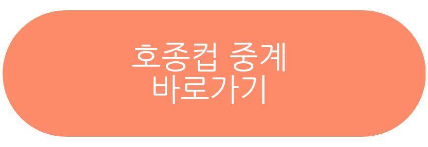 호종컵