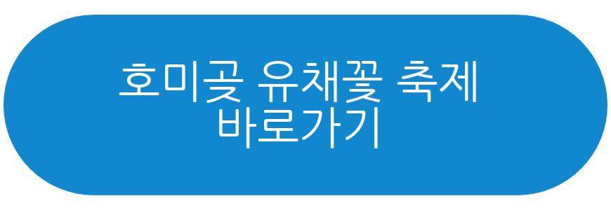 호미곶 유채꽃