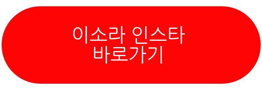 홍진경 이소라 파리
