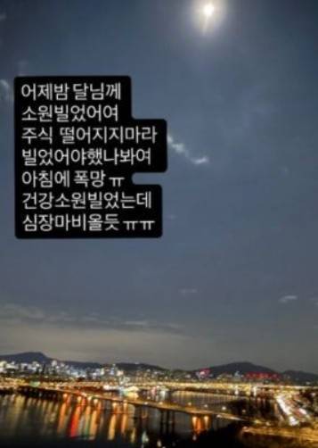 홍석천 입양딸 결혼과 주식 폭락