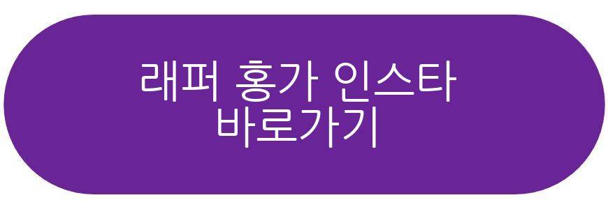 래퍼 홍가