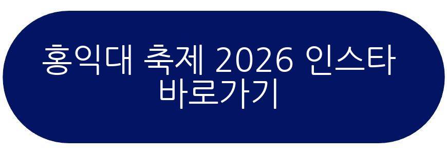홍익대 축제 2026