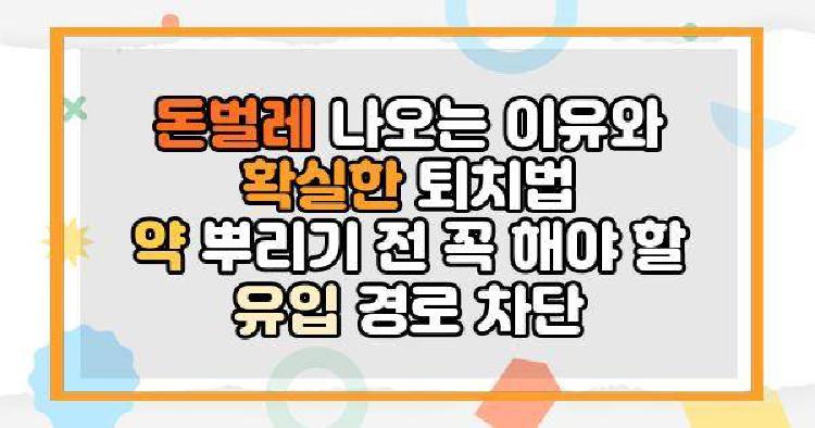 돈벌레 나오는 이유