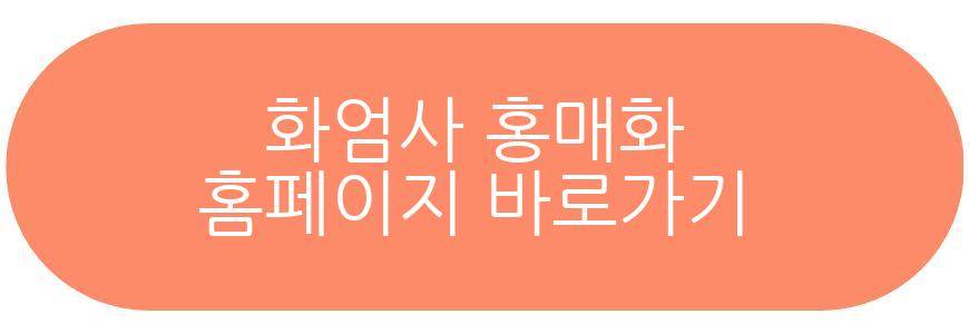 화엄사 홍매화