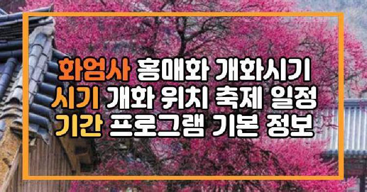 화엄사 홍매화