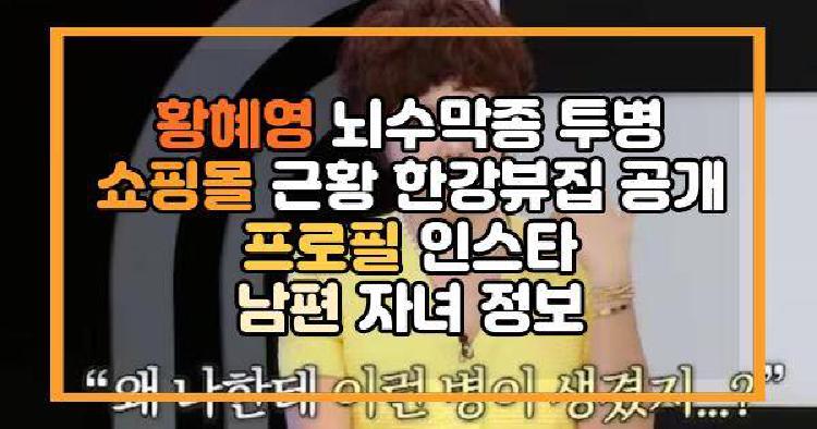 황혜영 뇌수막종 투병 쇼핑몰 근황 한강뷰집 공개 프로필 인스타 남편 자녀 정보