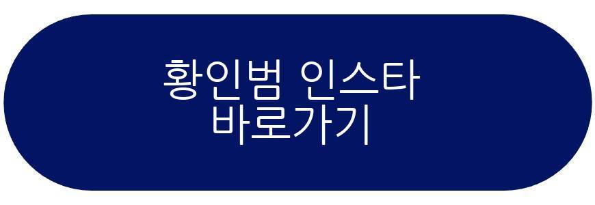 황인범 프로필