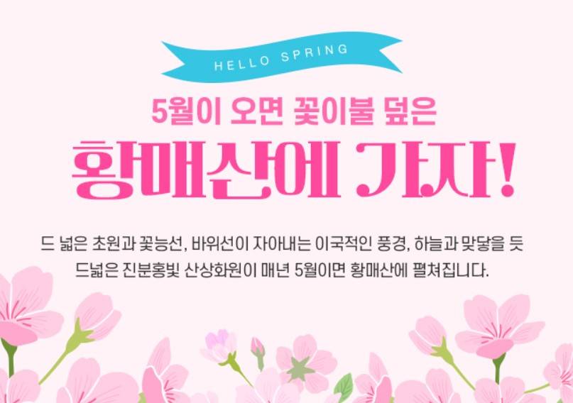 황매산철쭉제