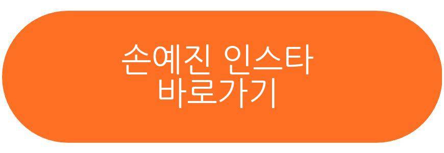 현빈 손예진 미국