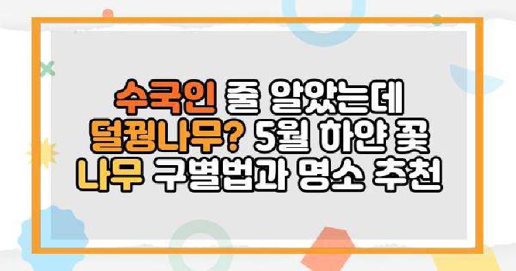 수국인 줄 알았는데 덜꿩나무? 5월 하얀 꽃 나무 구별법과 명소 추천
