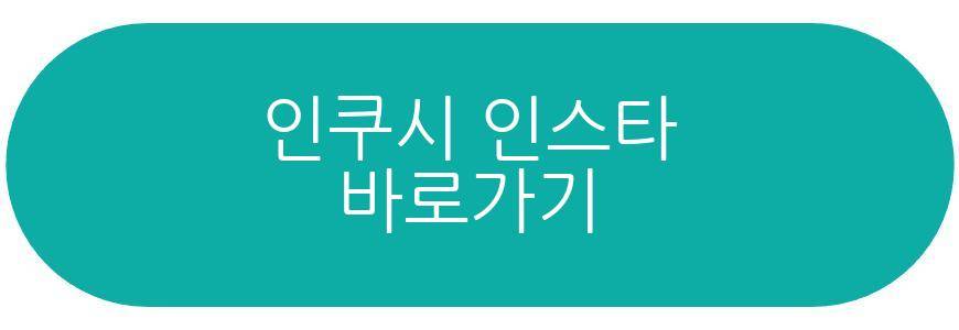 인쿠시 정관장