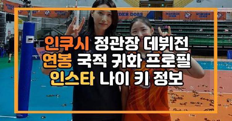 인쿠시 정관장