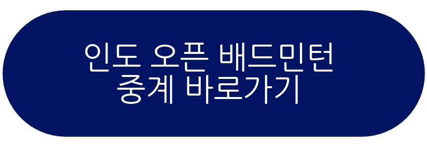 인도 오픈 배드민턴