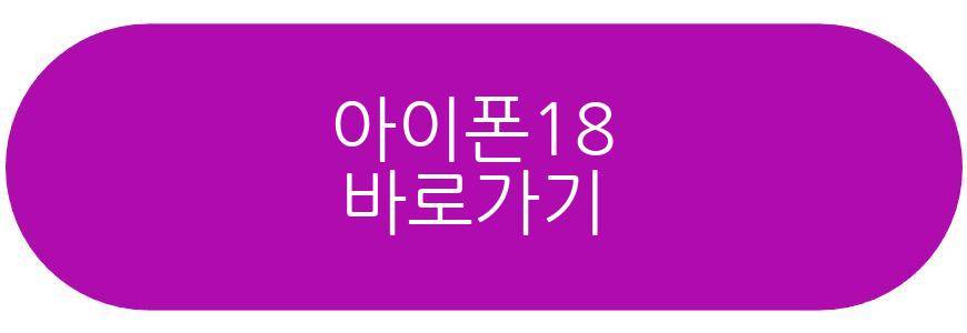아이폰18