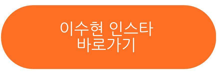 이수현