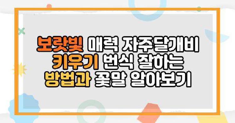 자주달개비